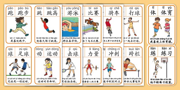 女子手球世锦赛：加拉队迎战埃及，争夺E组出线权。TyC体育和TyC体育直播平台全程呈现。 来源：阿根廷媒体TYC